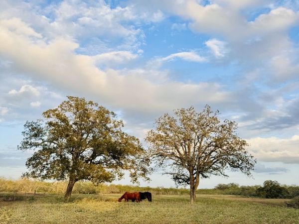 1410 W County Road 109, Leesville, TX 78122