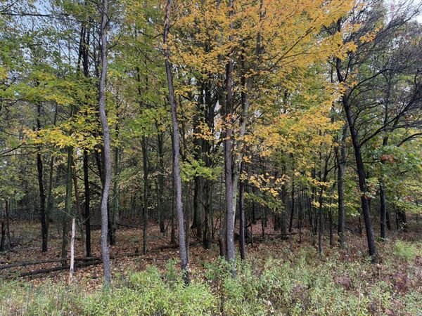 0 Nord Road, Muskegon, MI 49445