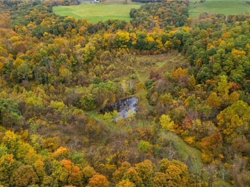 5975 Cambridge Road, New Concord, OH 43762 Photo 35