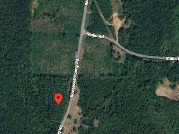 11570 Roosevelt Young Road, Noxapater, MS 39346
