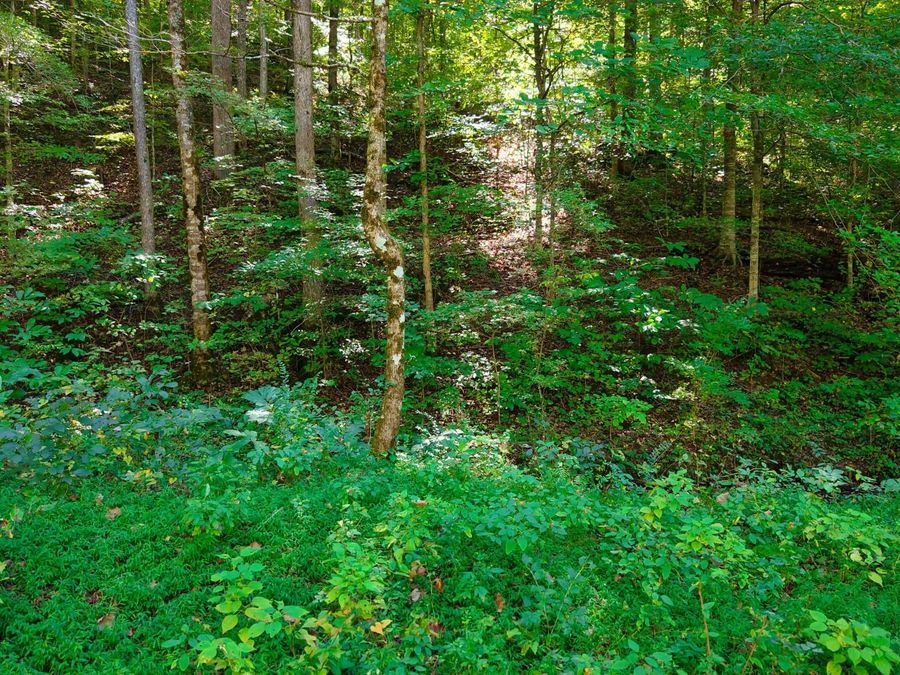 Property Image 45