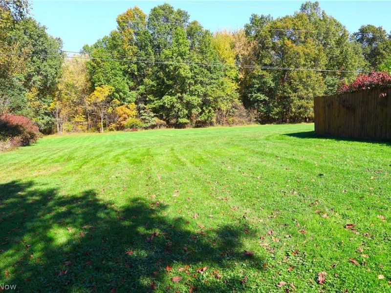 108 Country Place, Grafton, OH 44044 Photo 11