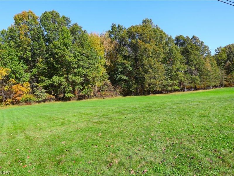 108 Country Place, Grafton, OH 44044 Photo 12