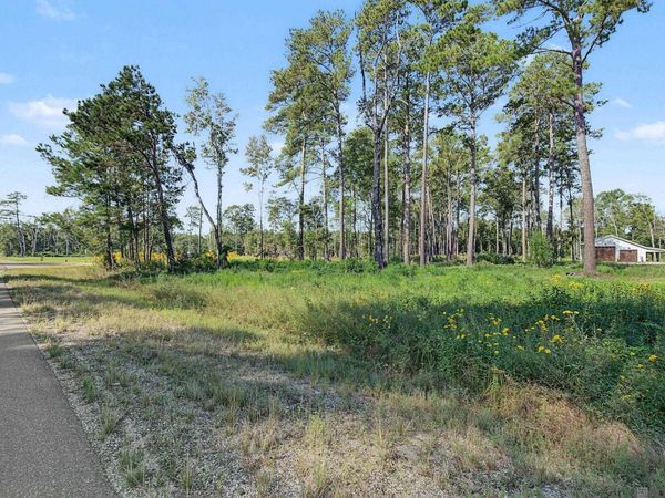 Lot B8 Reinninger Rd, Denham Springs, LA 70706