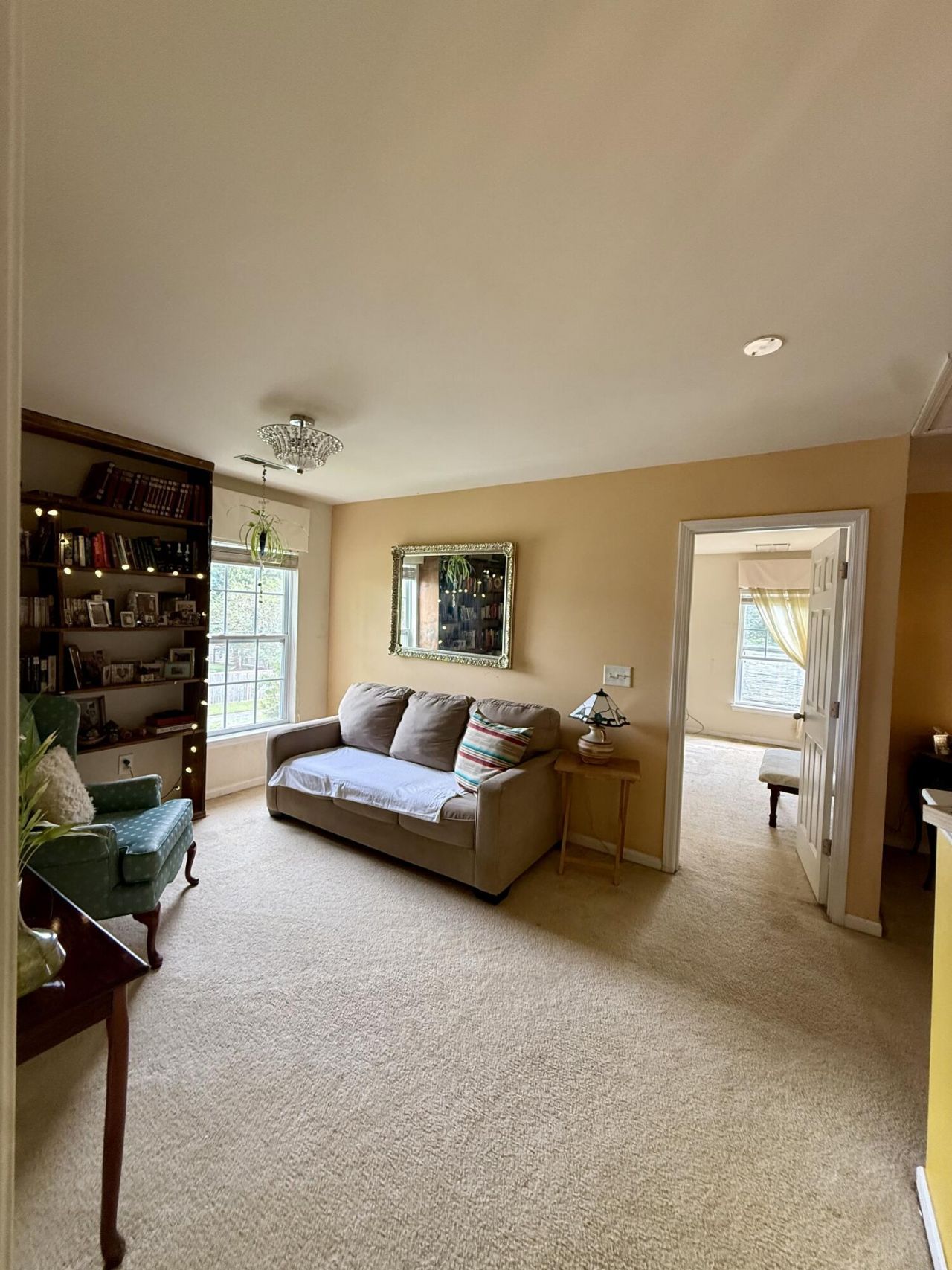 141 Salem Creek Drive Photo 18