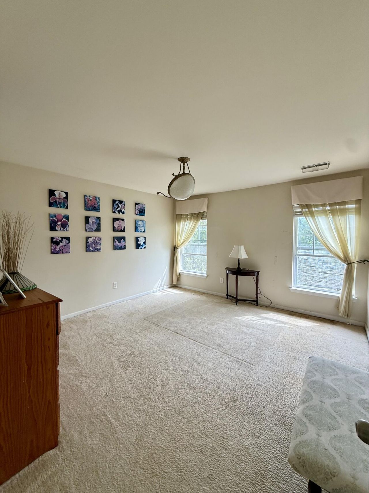 141 Salem Creek Drive Photo 24
