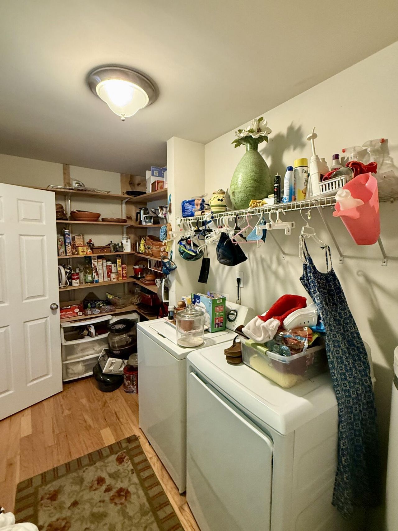 141 Salem Creek Drive Photo 31