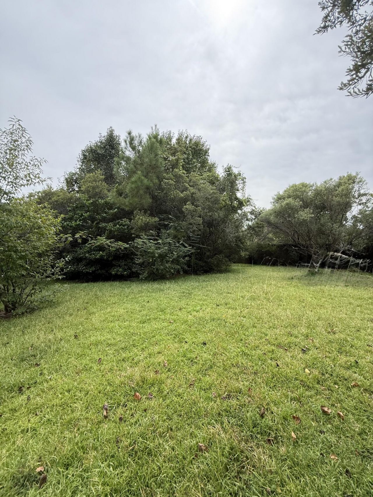 141 Salem Creek Drive Photo 32