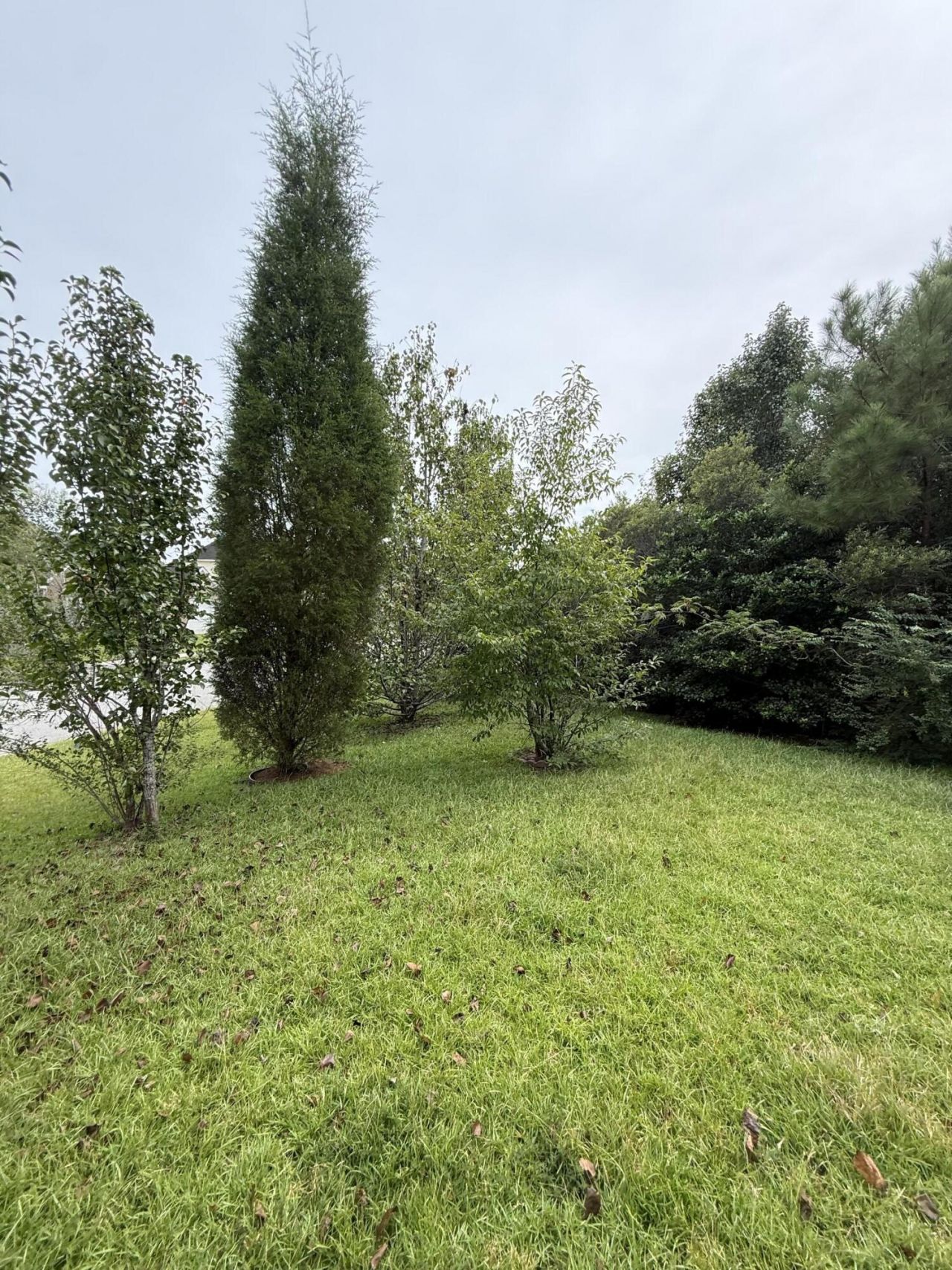 141 Salem Creek Drive Photo 33