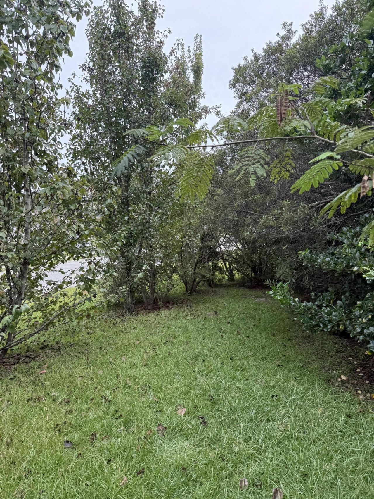 141 Salem Creek Drive Photo 34