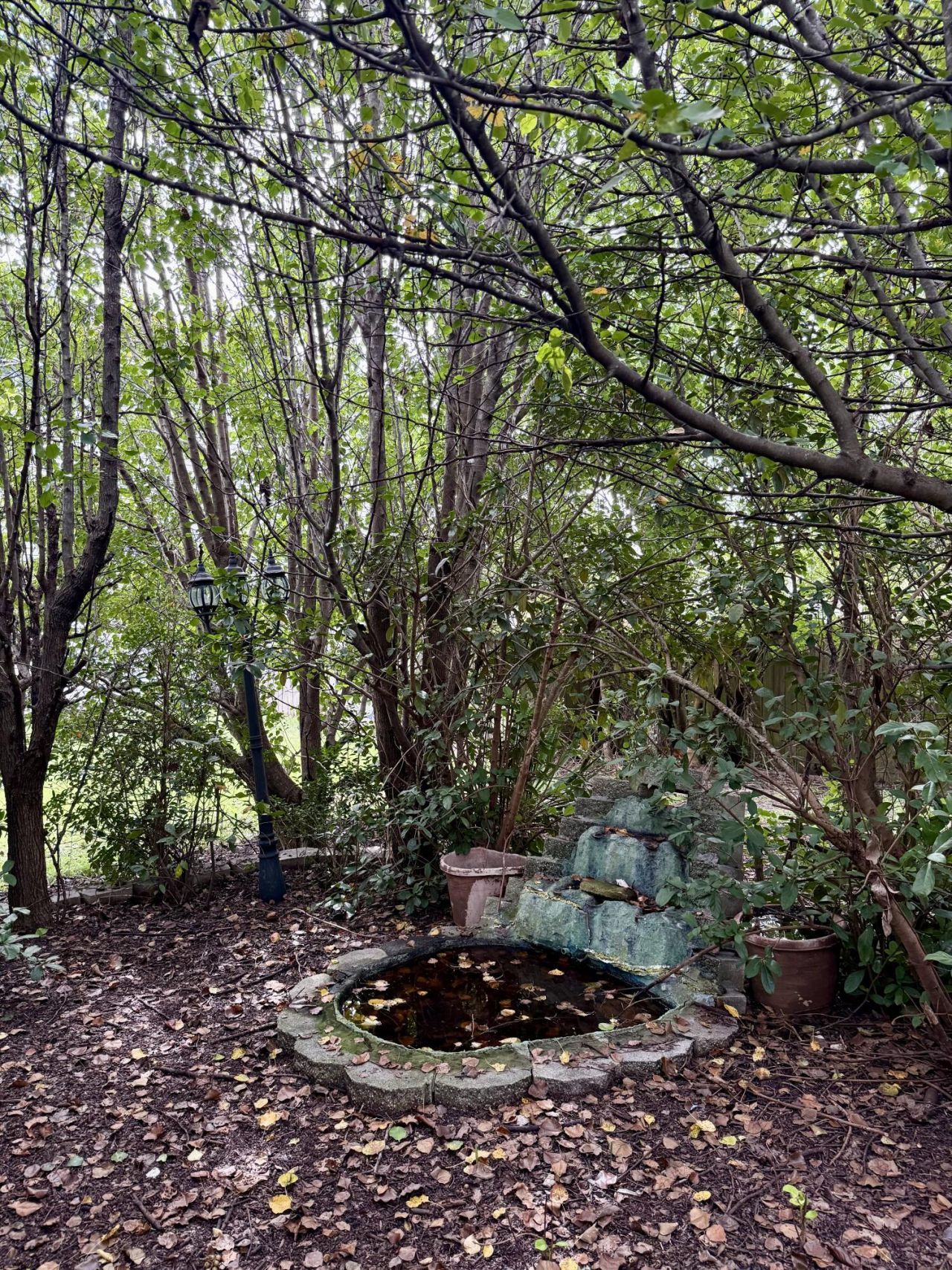 141 Salem Creek Drive Photo 35
