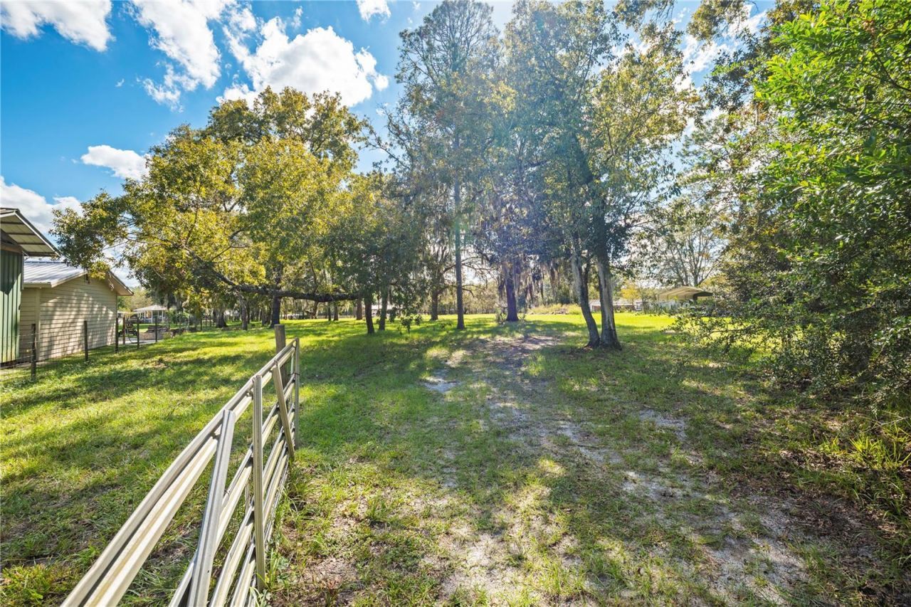 4145 Appaloosa Road, Middleburg, FL 32068 Photo