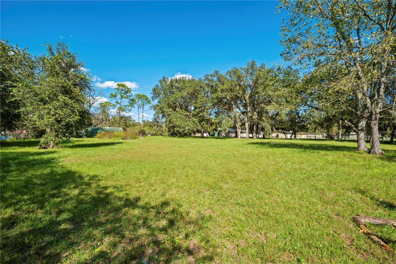 4145 Appaloosa Road, Middleburg, FL 32068 Photo