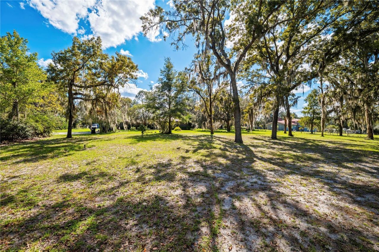 4145 Appaloosa Road, Middleburg, FL 32068 Photo