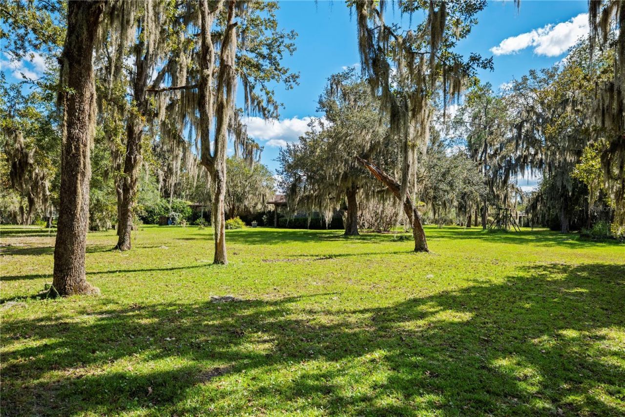 4145 Appaloosa Road, Middleburg, FL 32068 Photo