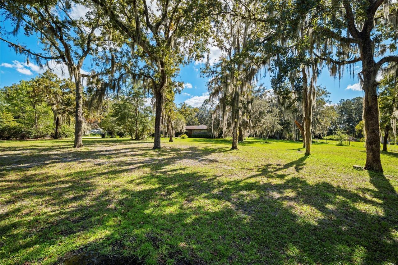 4145 Appaloosa Road, Middleburg, FL 32068 Photo