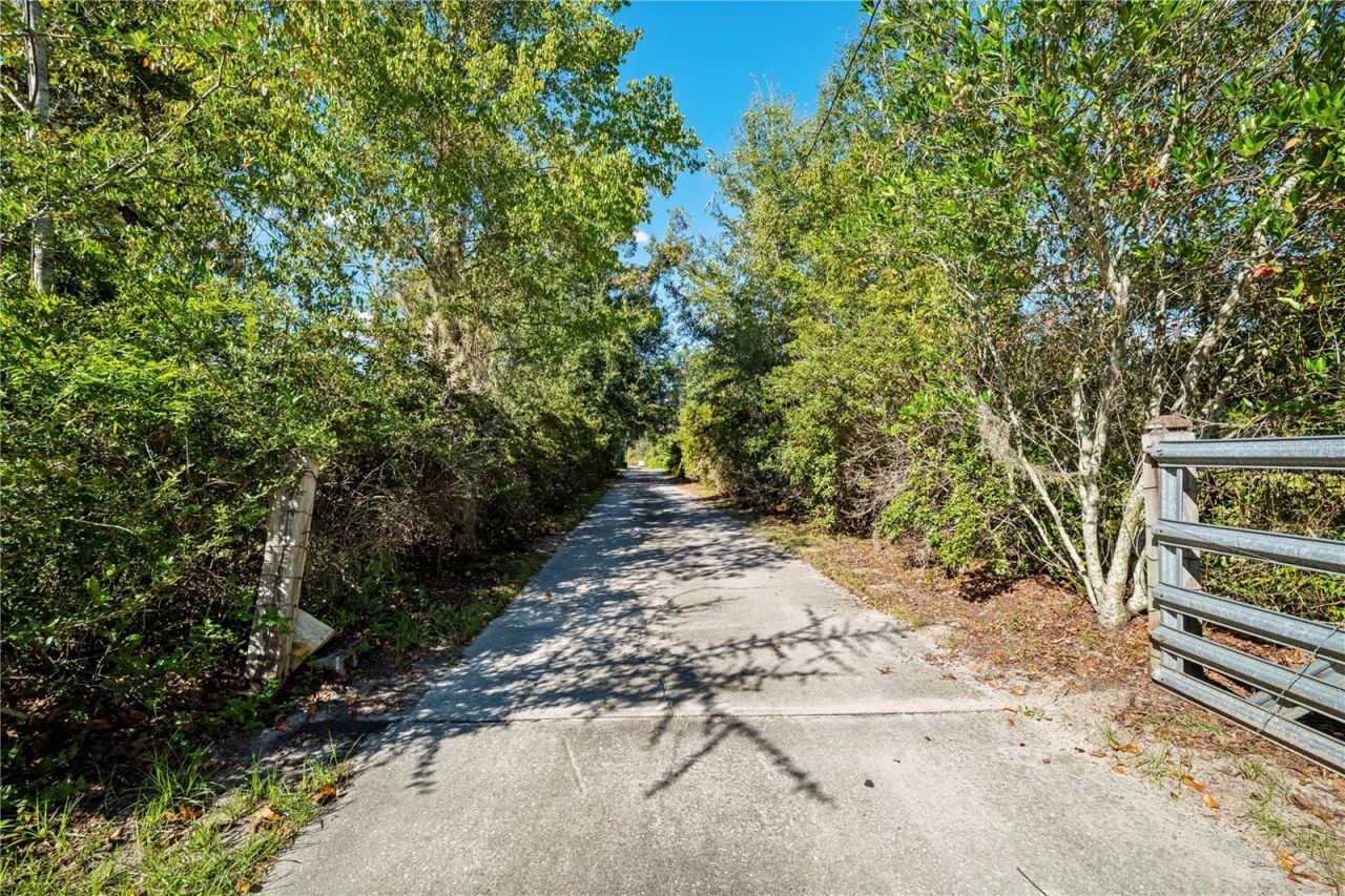 4145 Appaloosa Road, Middleburg, FL 32068 Photo