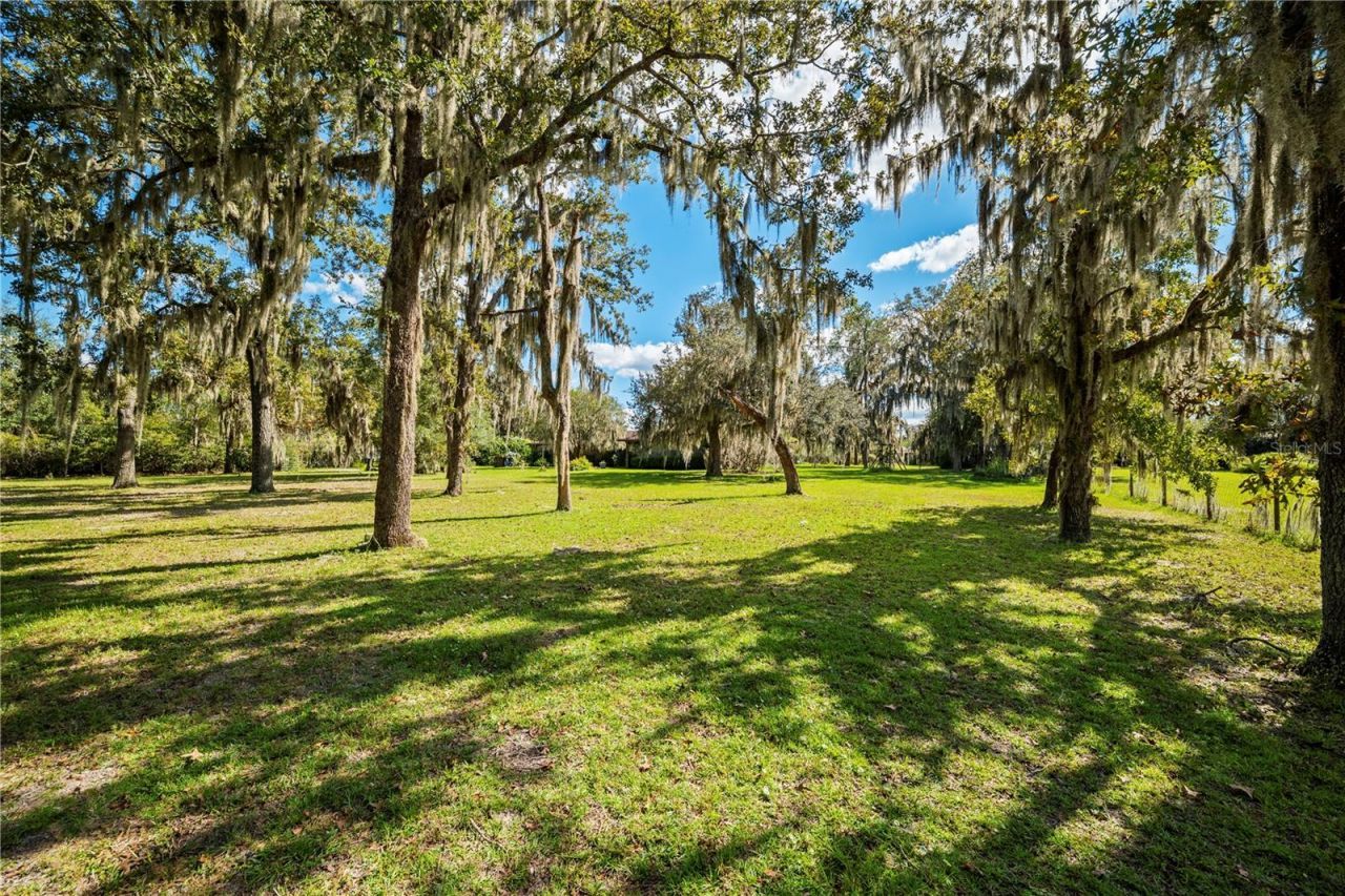 4145 Appaloosa Road, Middleburg, FL 32068 Photo