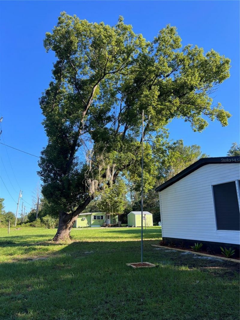 45518 Oak Street, Paisley, FL 32767 Photo