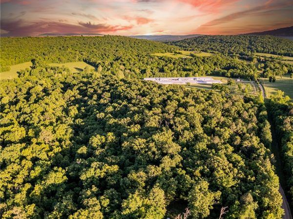 933 Dee Smith Road , Summers, AR 72744