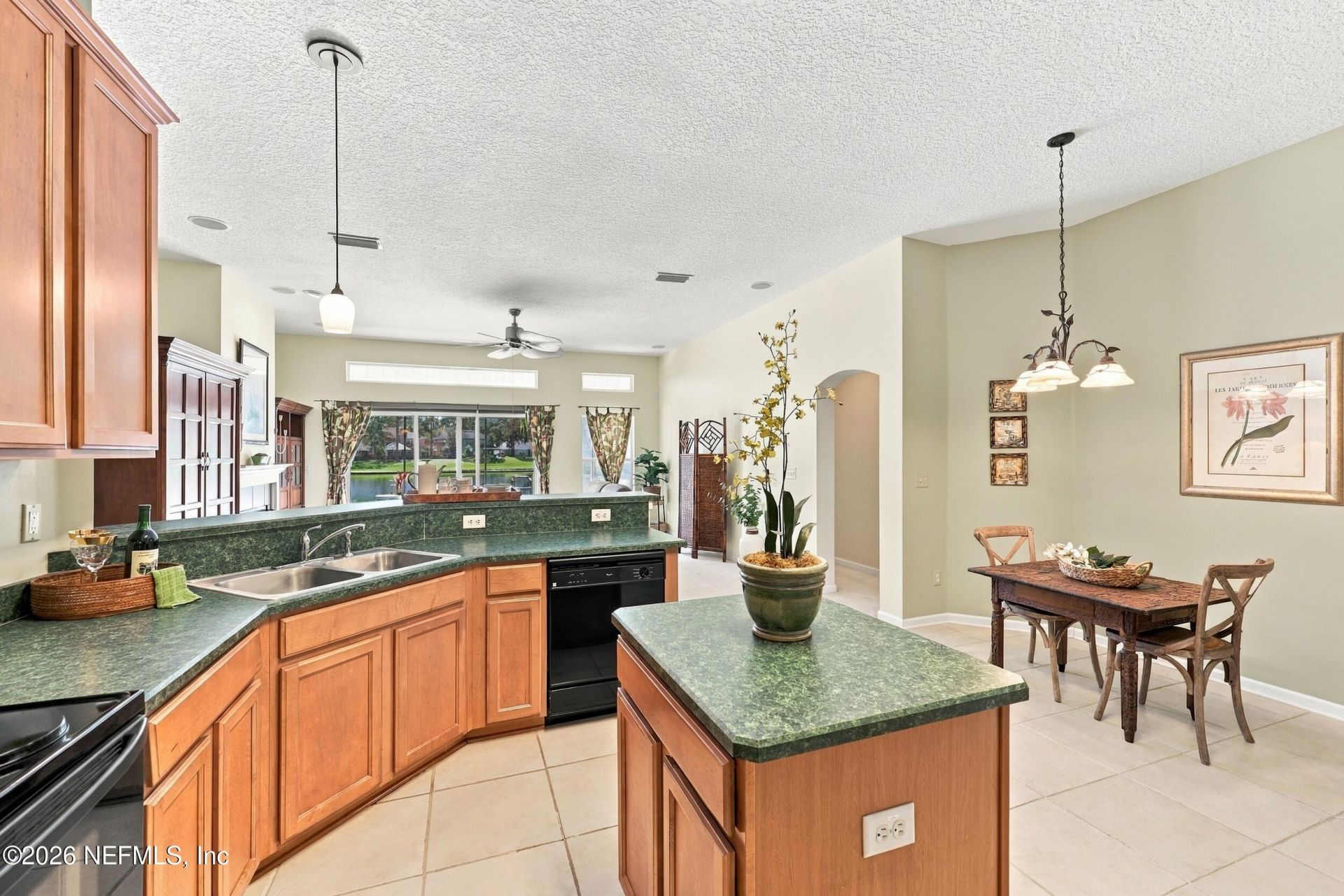 1747 Chatham Village Drive, Fleming Island, FL 32003 Photo