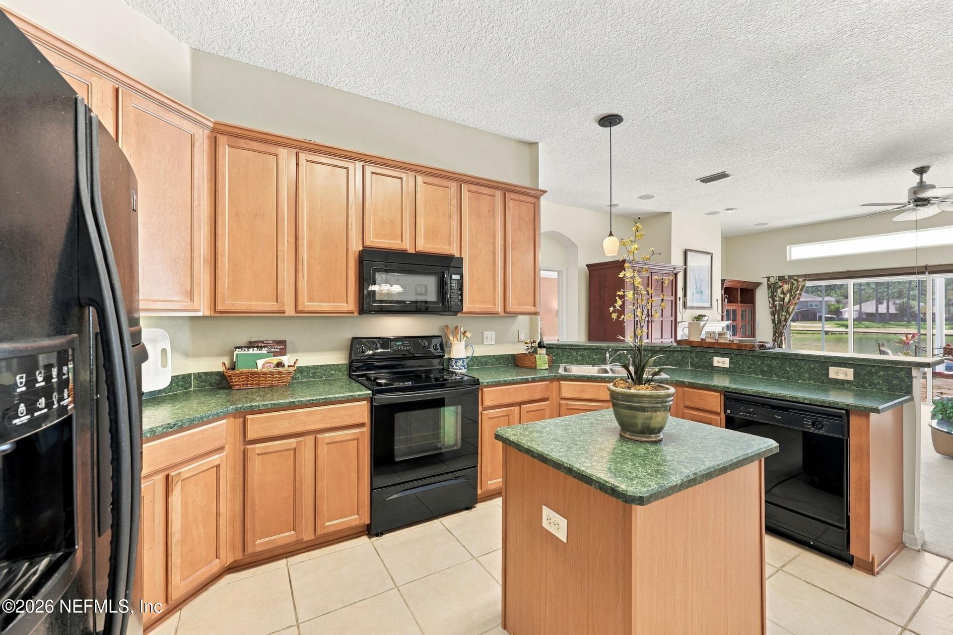 1747 Chatham Village Drive, Fleming Island, FL 32003 Photo