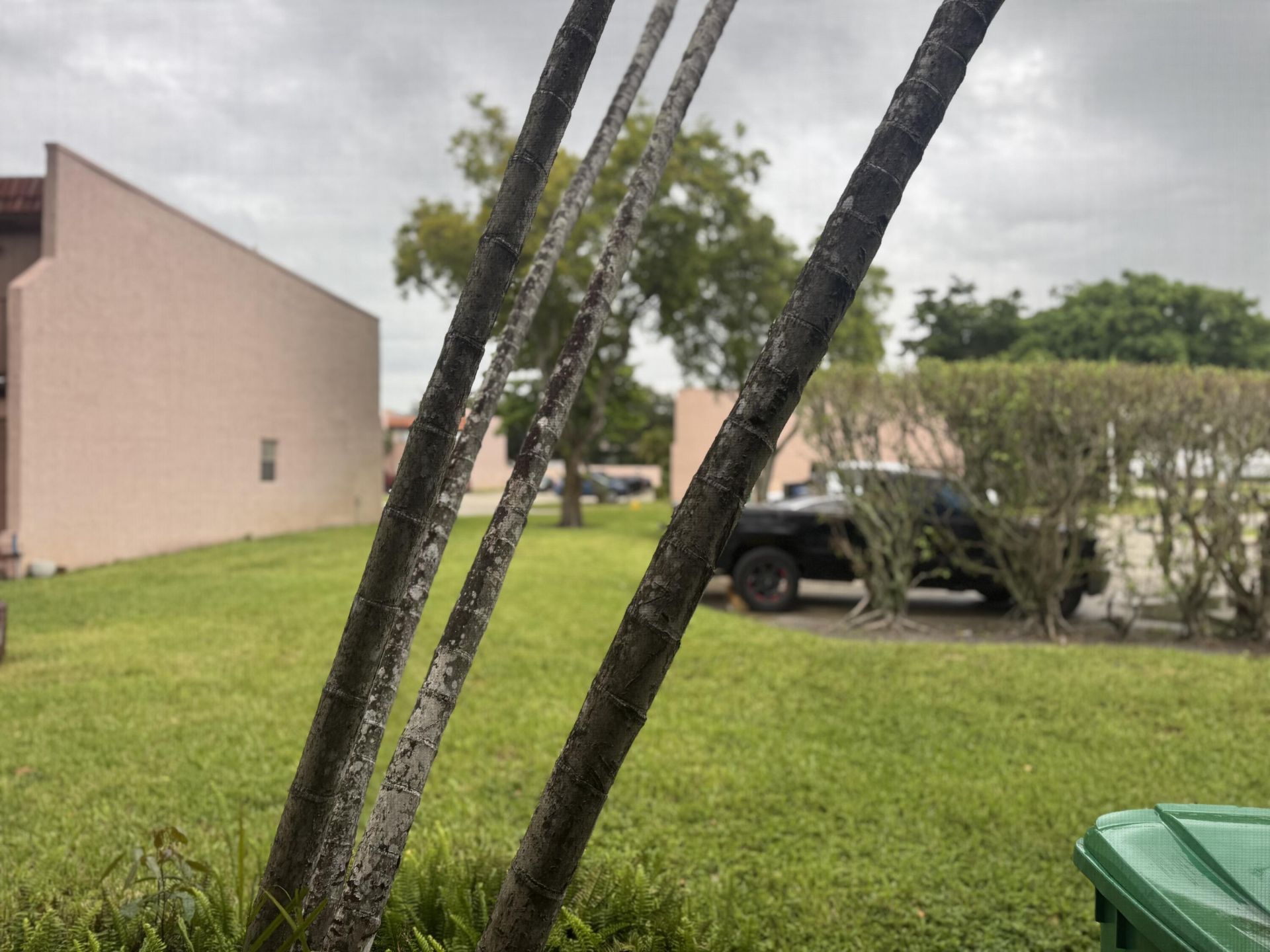 25 Laredo Place, Davie, FL 33324 Photo