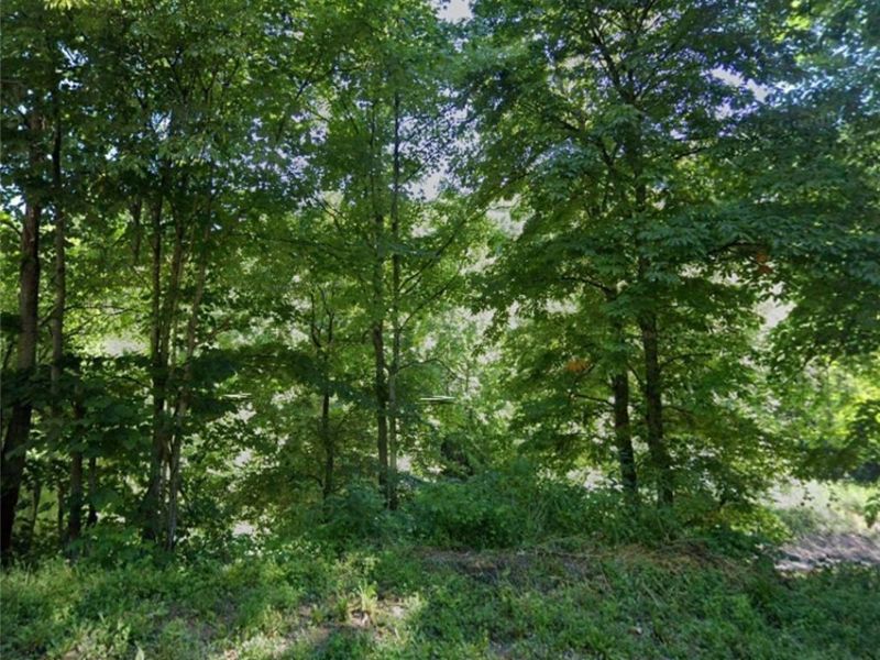 Stonehouse Road, Woodsfield, OH 43946 Photo 7