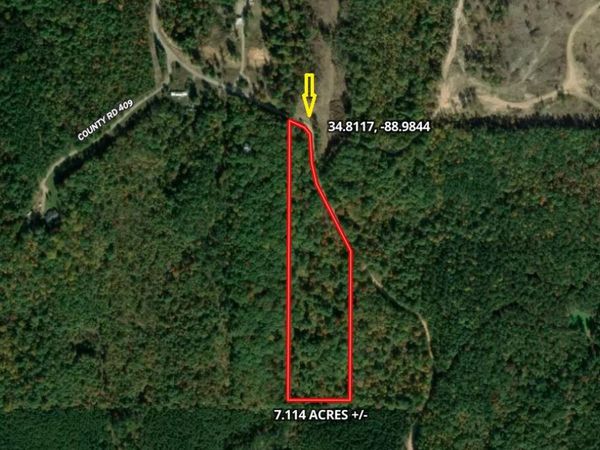 Co Rd 414, Falkner, MS 38629