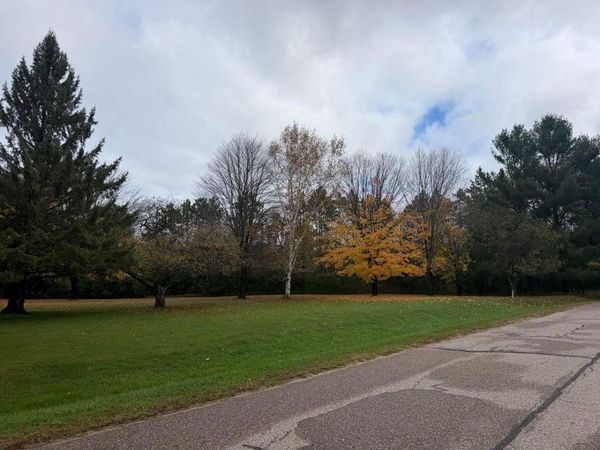 2.51 Acres MISSION STREET, Unit Chippewa S, Wittenberg, WI 54499
