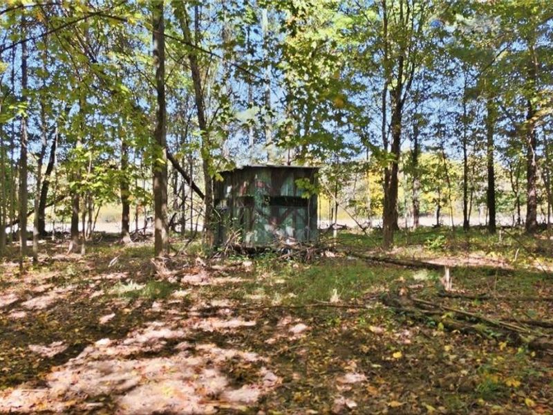 4265 State Route 13, Greenwich, OH 44837 Photo 7