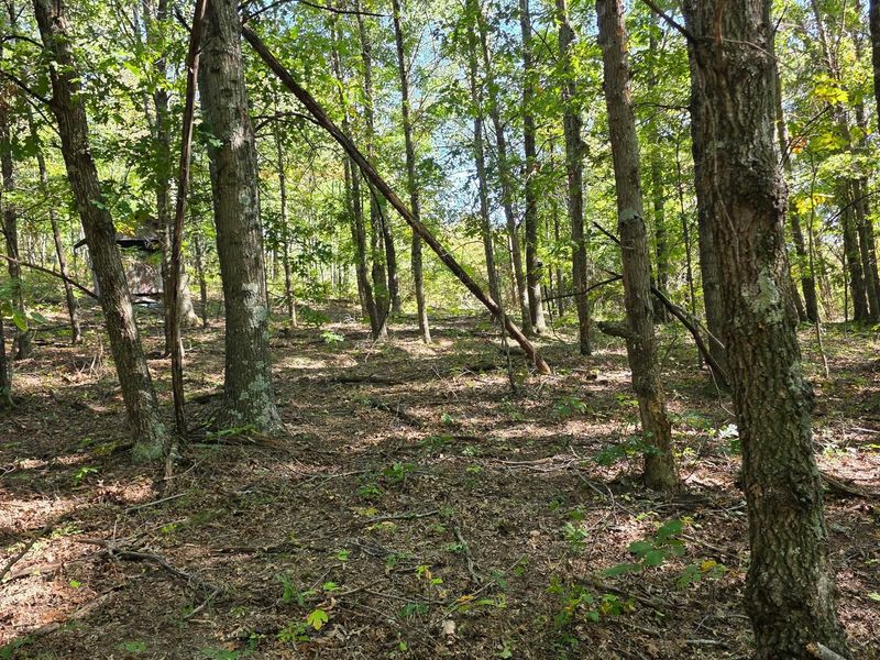 871 Keiser Road , Unit (Tract 1 a, Waverly, OH 45690 Photo 14