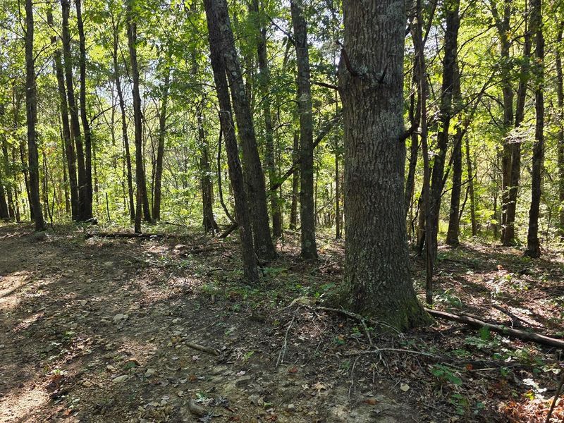871 Keiser Road , Unit (Tract 1 a, Waverly, OH 45690 Photo 17