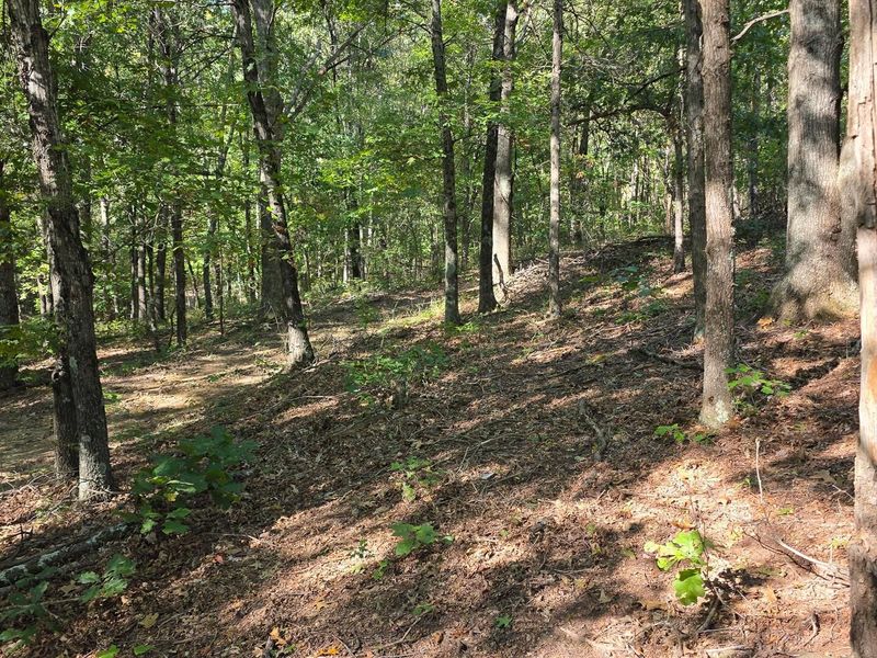 871 Keiser Road , Unit (Tract 1 a, Waverly, OH 45690 Photo 21