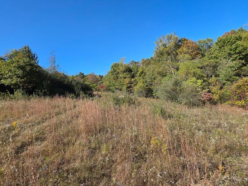 871 Keiser Road , Unit (Tract 1 a, Waverly, OH 45690 Photo 28
