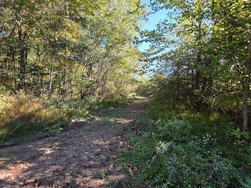 871 Keiser Road , Unit (Tract 1 a, Waverly, OH 45690 Photo 29