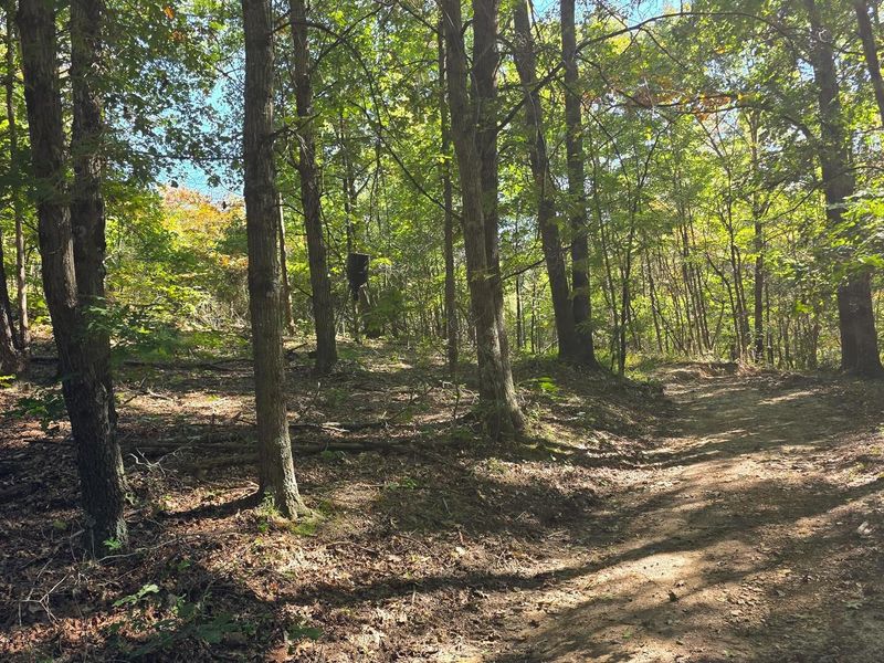 871 Keiser Road , Unit (Tract 1 a, Waverly, OH 45690 Photo 3