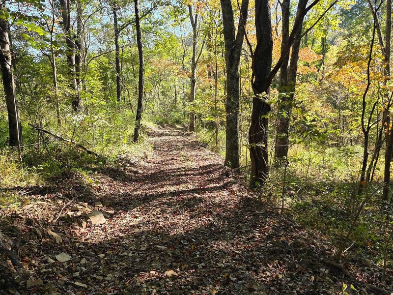 871 Keiser Road , Unit (Tract 1 a, Waverly, OH 45690 Photo 31