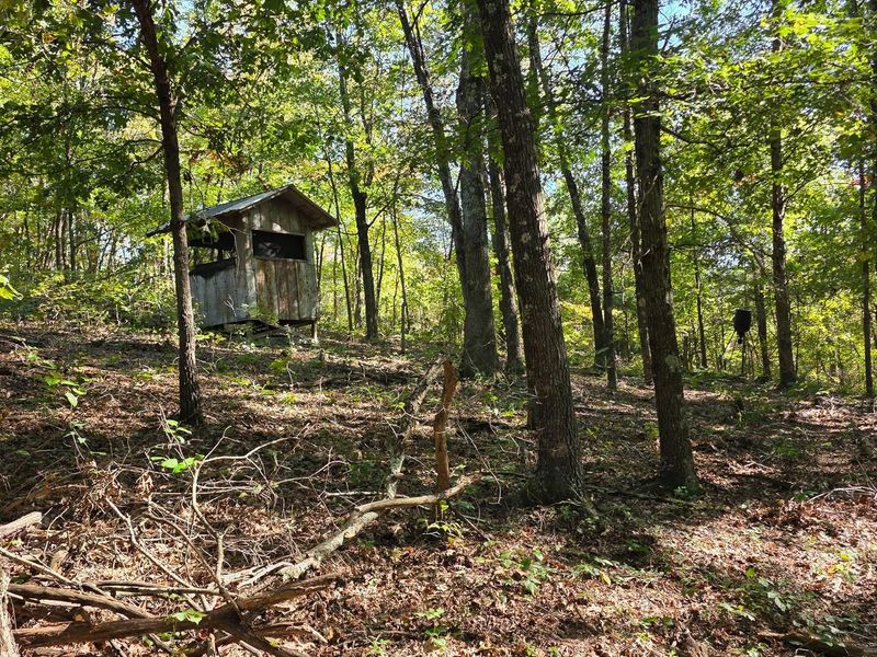 871 Keiser Road , Unit (Tract 1 a, Waverly, OH 45690 Photo 32