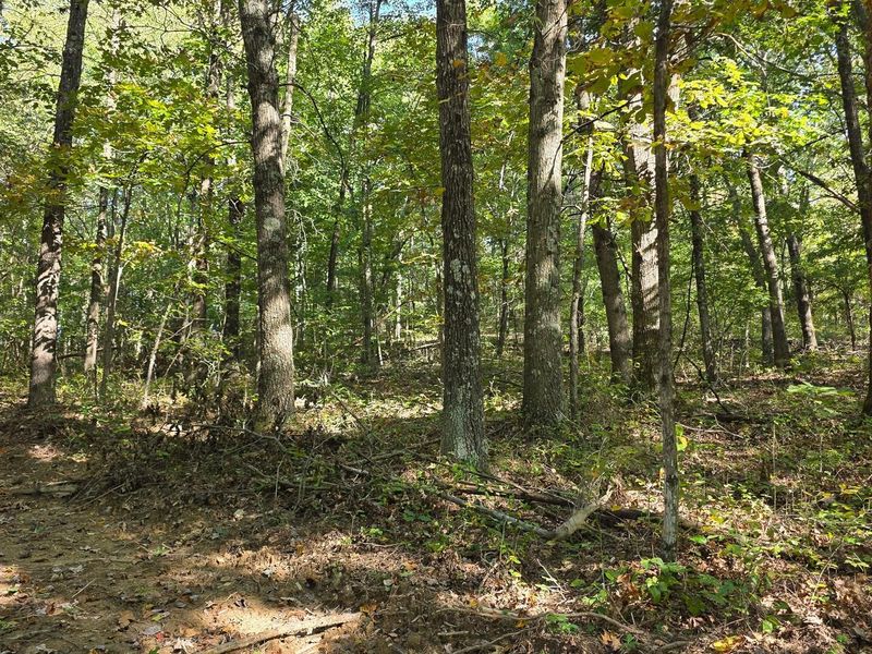 871 Keiser Road , Unit (Tract 1 a, Waverly, OH 45690 Photo 33