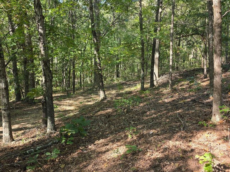 871 Keiser Road , Unit (Tract 1 a, Waverly, OH 45690 Photo 34