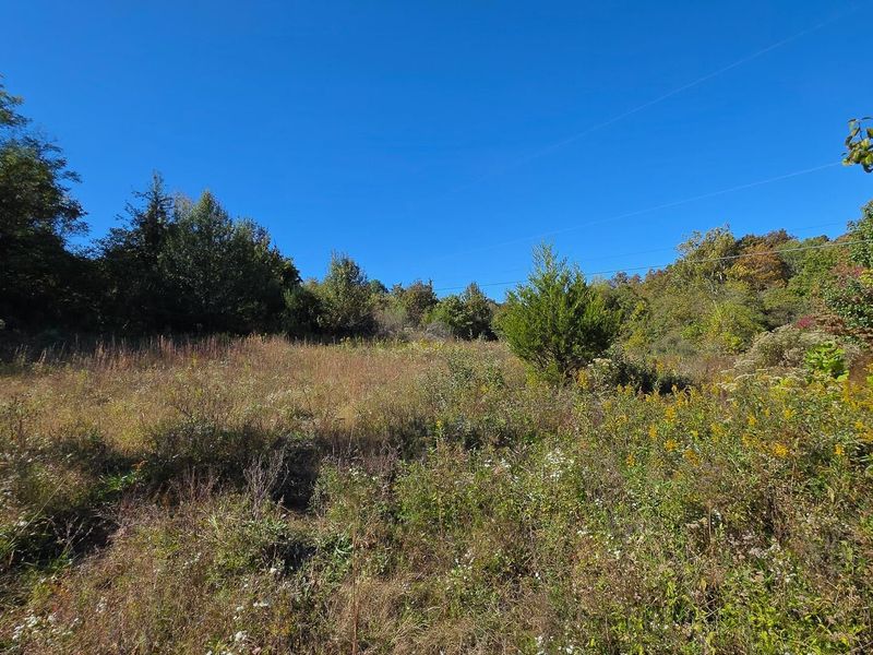 871 Keiser Road , Unit (Tract 1 a, Waverly, OH 45690 Photo 5