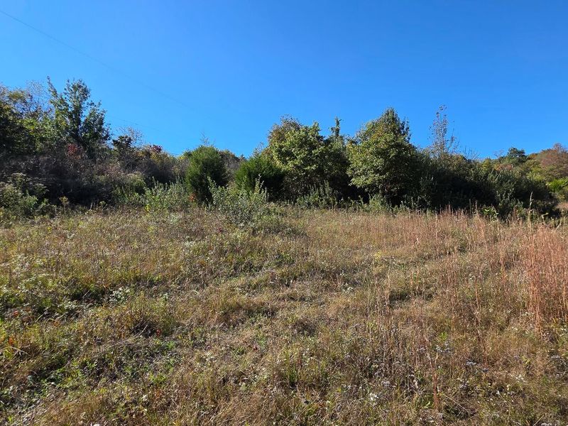 871 Keiser Road , Unit (Tract 1 a, Waverly, OH 45690 Photo 6