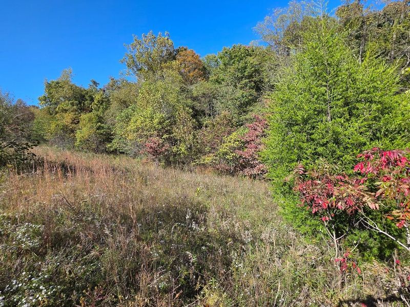 871 Keiser Road , Unit (Tract 1 a, Waverly, OH 45690 Photo 7