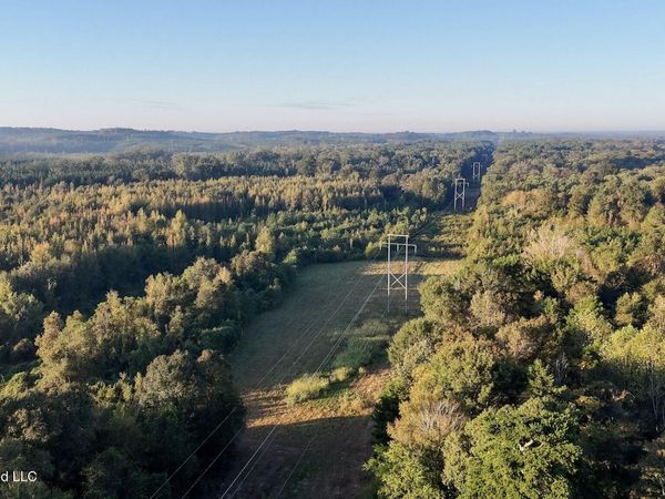 Mississippi 35 Highway, Carthage, MS 39051