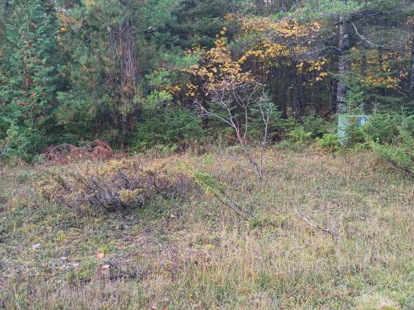 Lot 311 Kauffman Road, Presque Isle, MI 49777