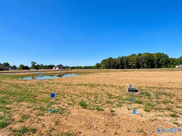 24423 Carnoustie Drive, Athens, AL 35613