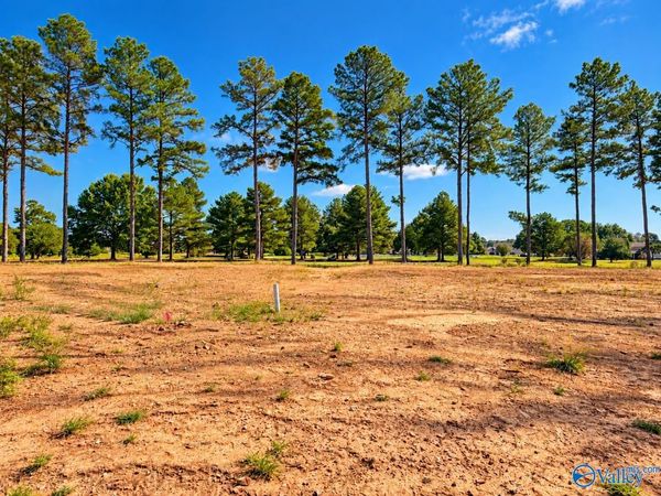 24424 Carnoustie Drive, Athens, AL 35613
