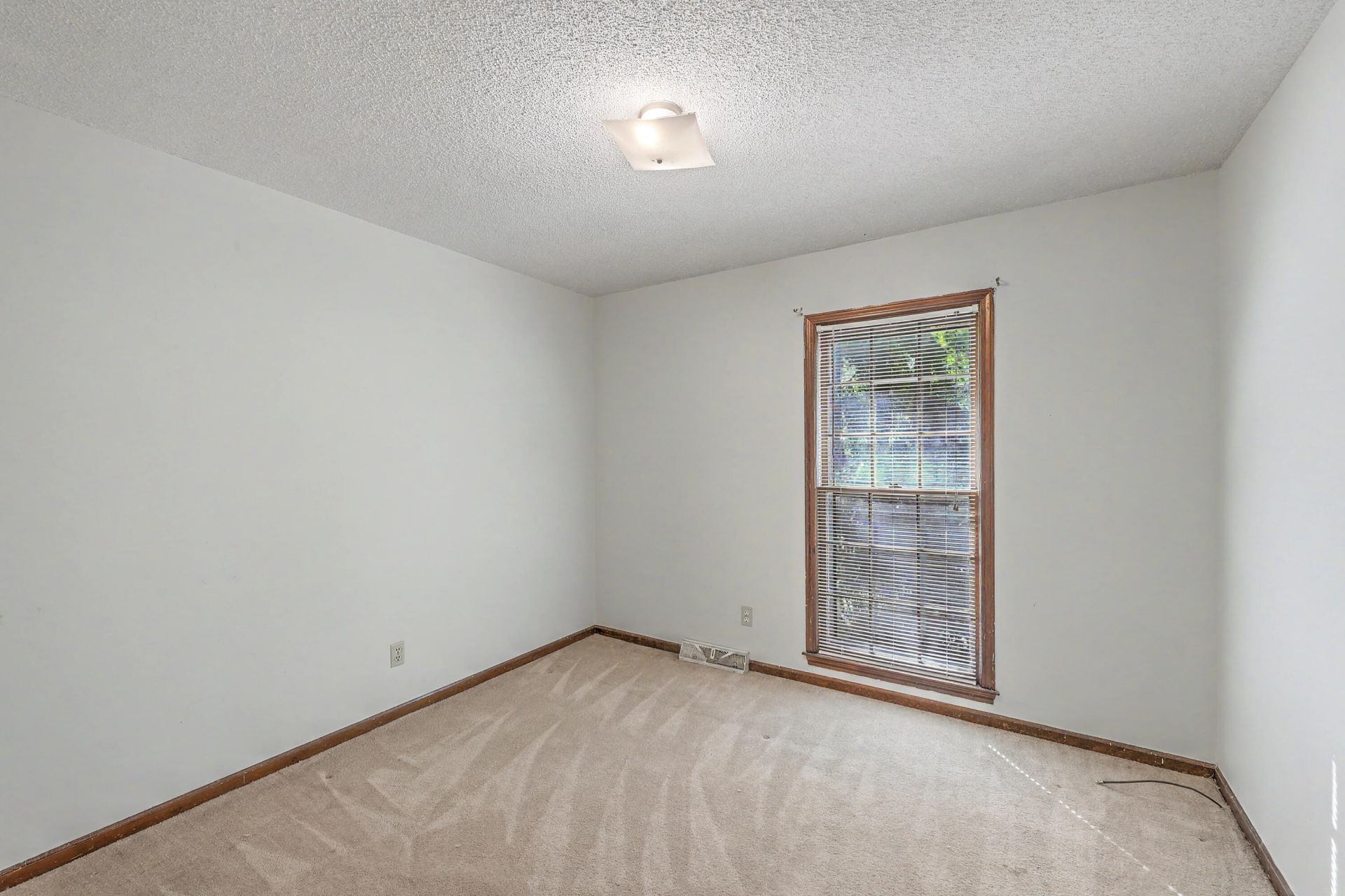 230 Wilson Drive Photo 21