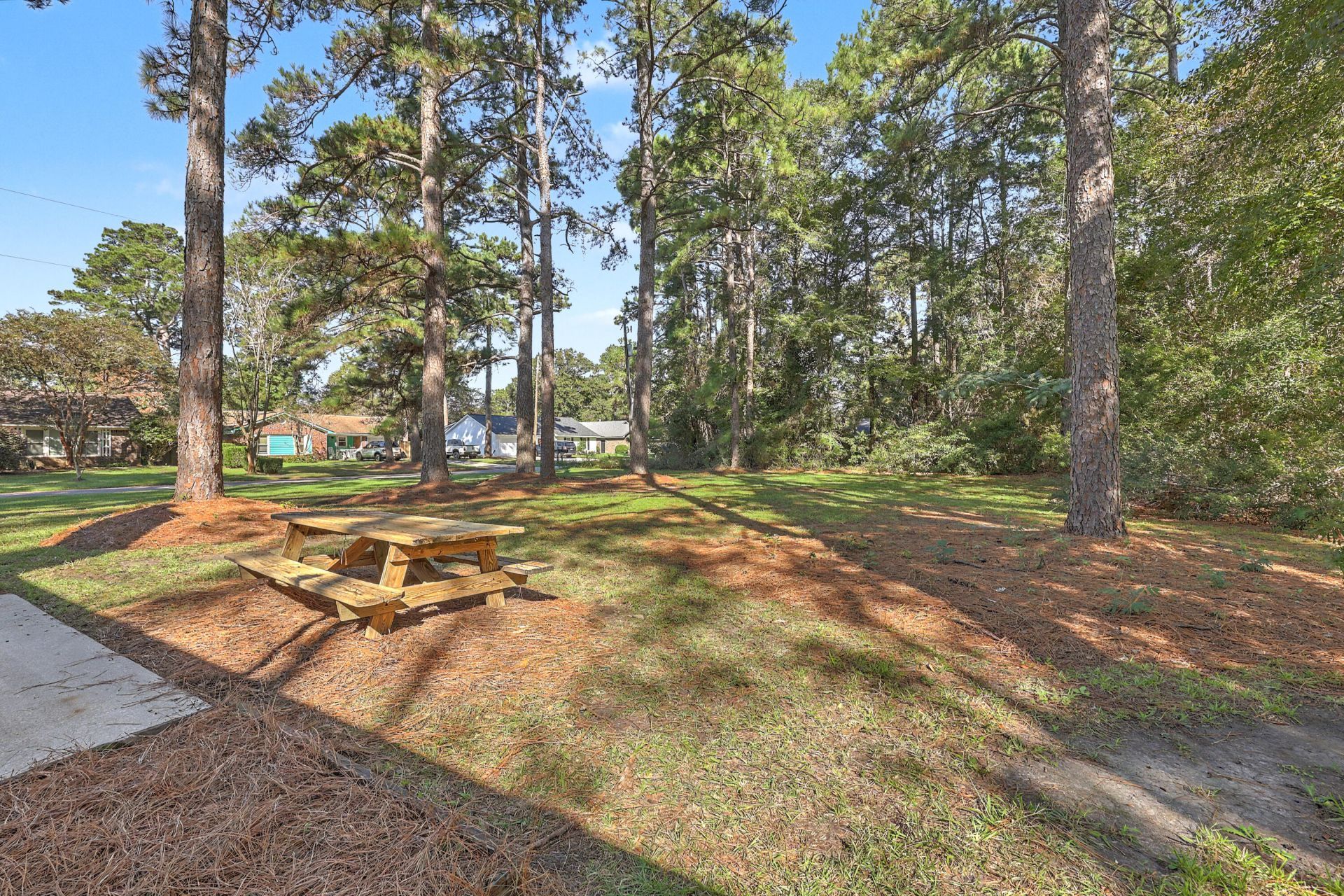 230 Wilson Drive Photo 25